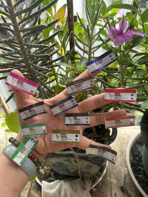 Semaglutide 8.0mg Hologram Laser Materail Peptide Small Bottle Labels